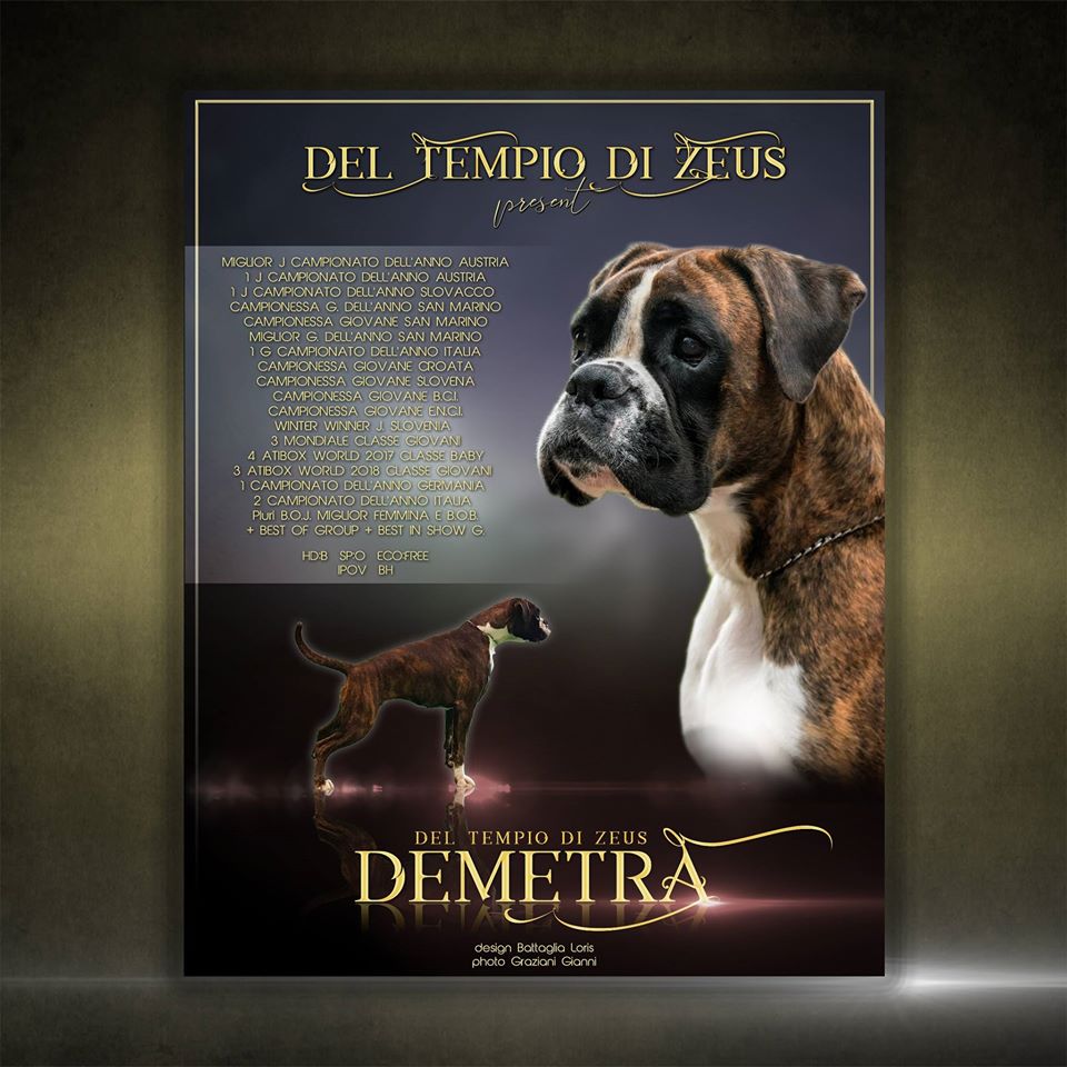 demetra del tempio di zeus