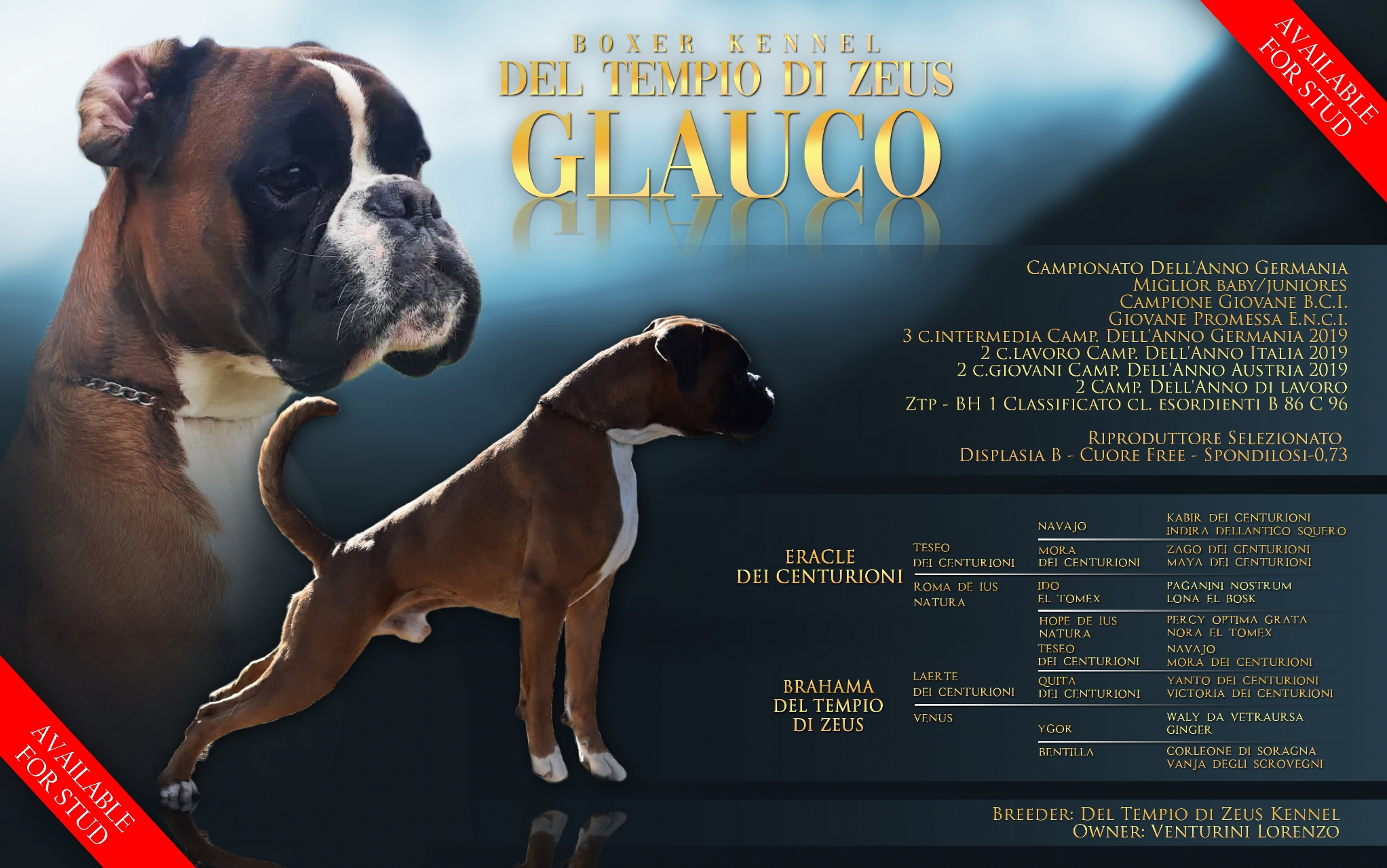 glauco del tempio di zeus